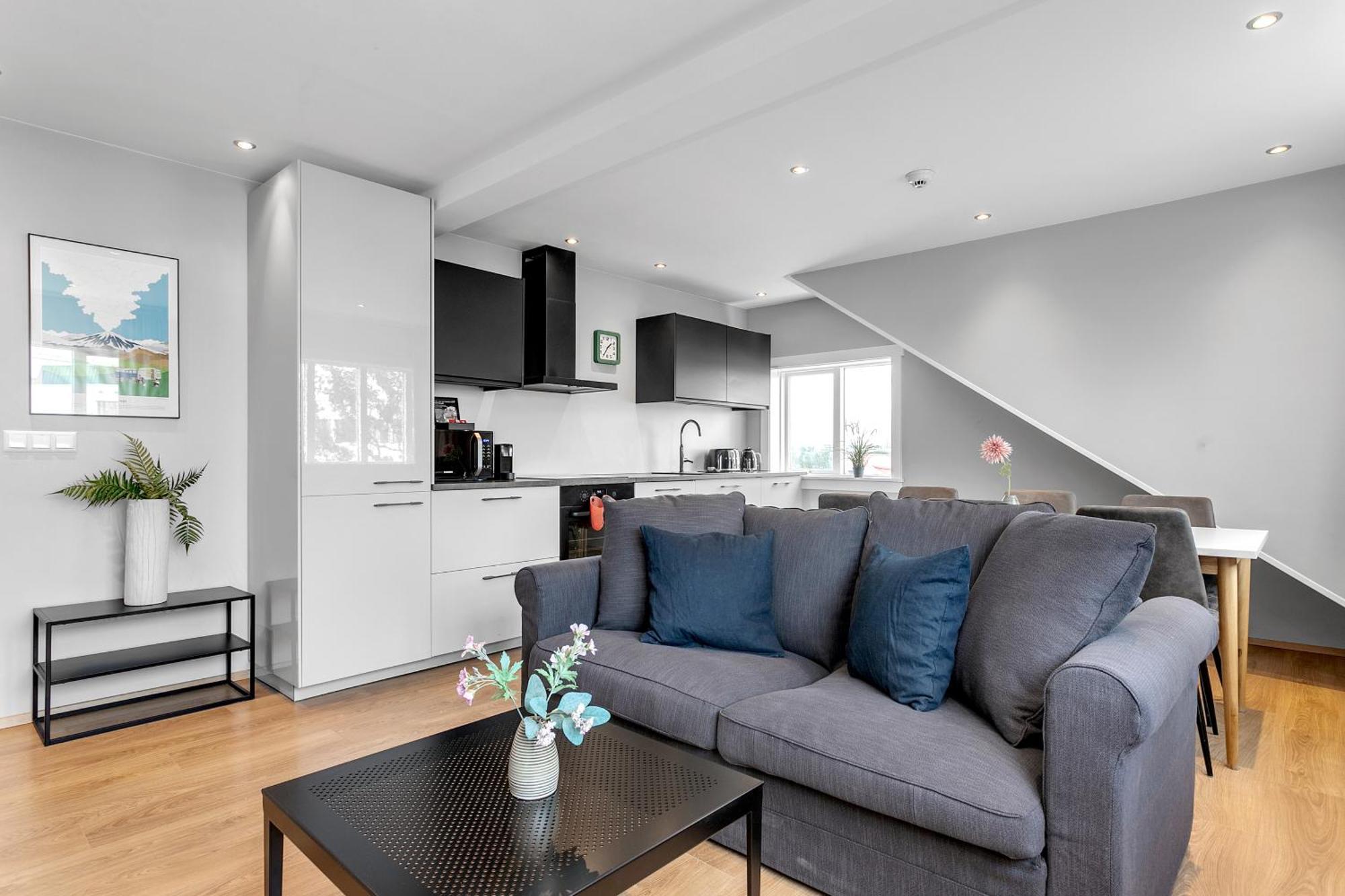 Eiriksgata Apartments By Heimaleiga Reykjavík Dış mekan fotoğraf