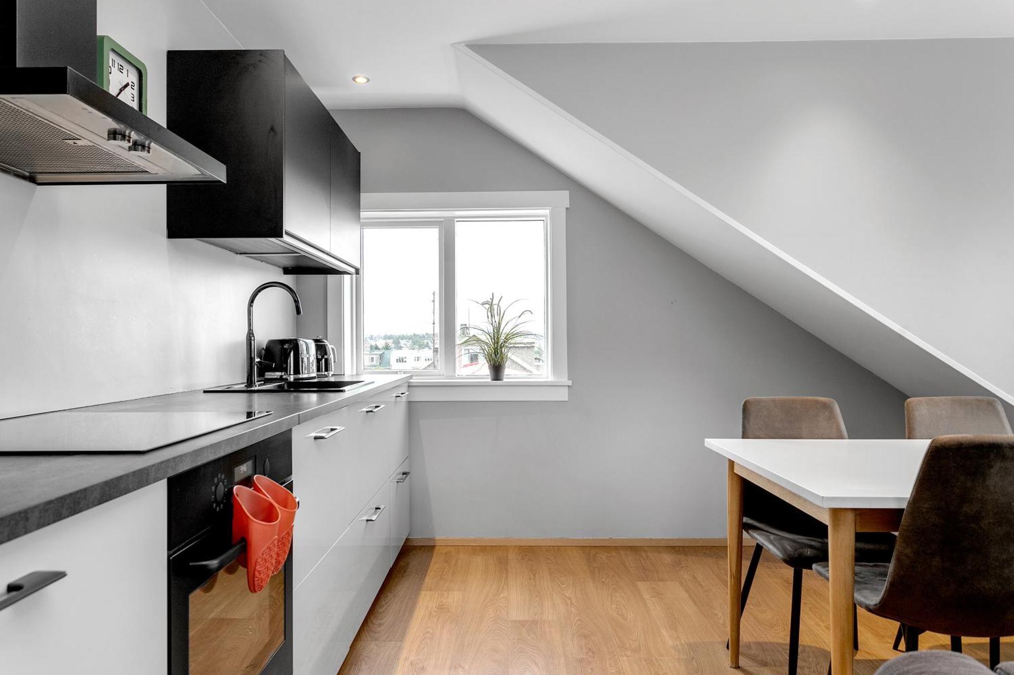 Eiriksgata Apartments By Heimaleiga Reykjavík Dış mekan fotoğraf
